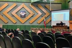 کارگاه MMT ویژه پزشکان